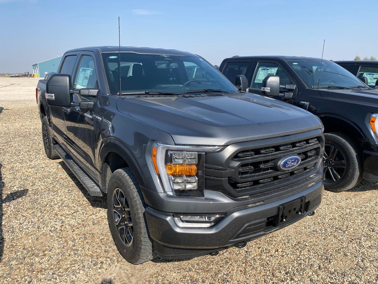 New 2023 Ford F-150 XLT 4WD SUPERCREW 5.5' BOX for sale in Elie, MB