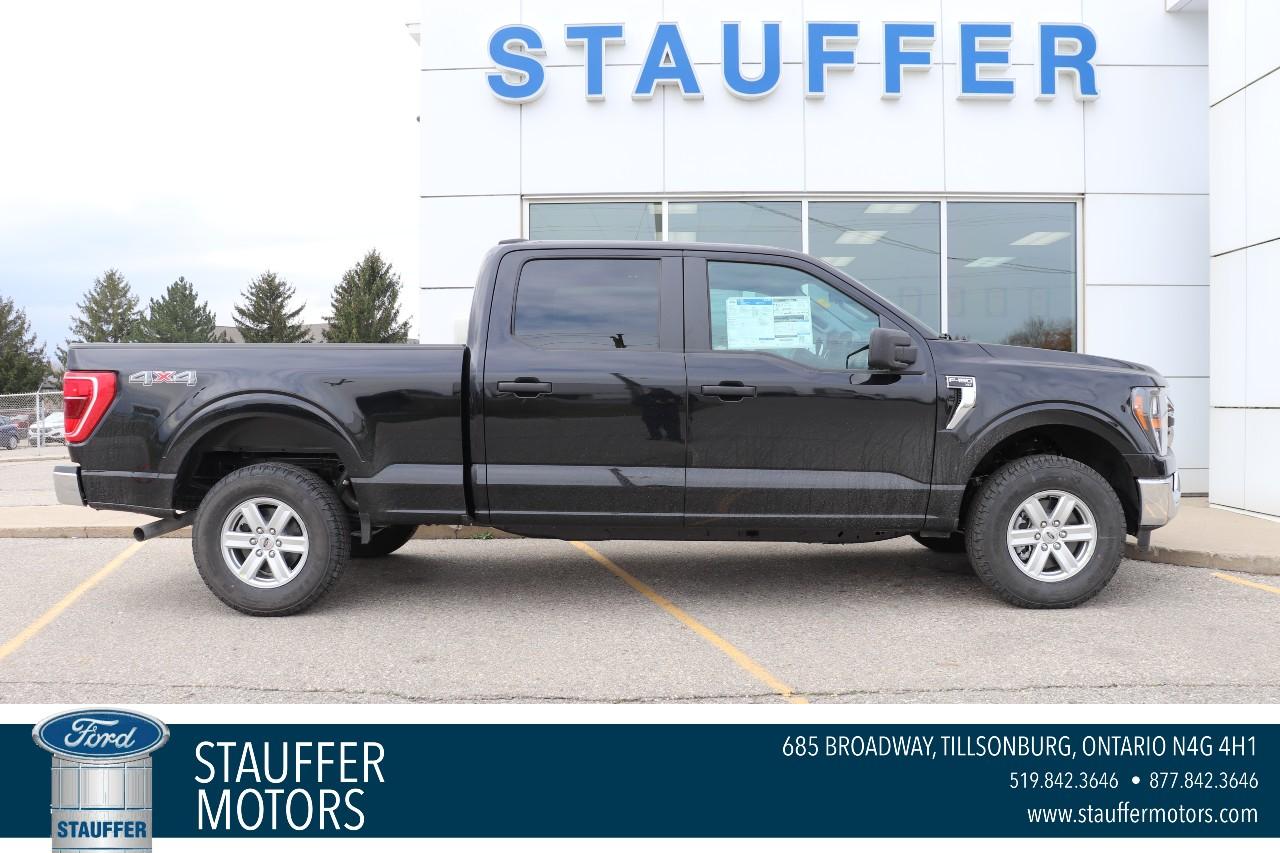 New 2023 Ford F-150 XLT 4WD SUPERCREW 6.5' BOX for sale in Tillsonburg, ON