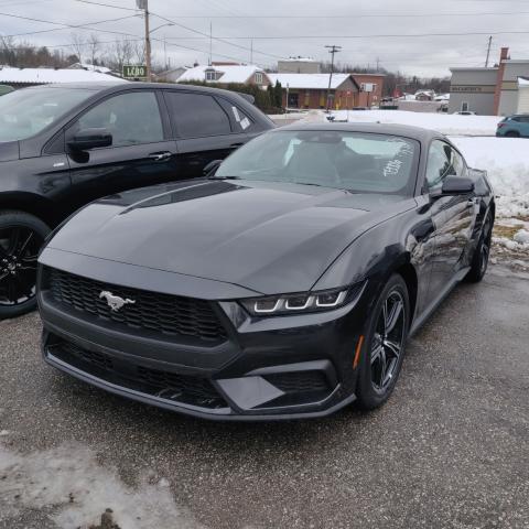 Image - 2024 Ford Mustang EcoBoost Fastback