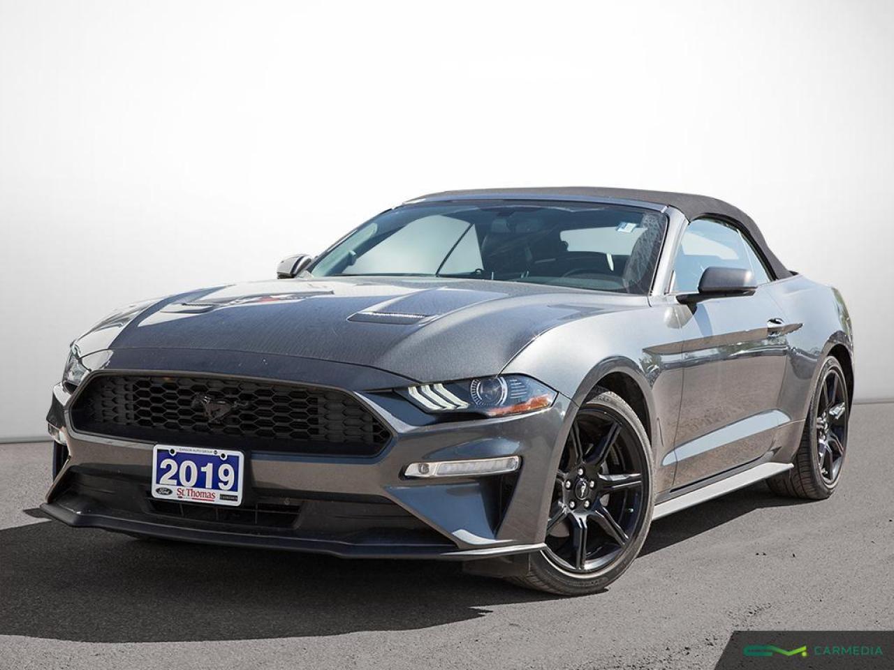 Used 2019 Ford Mustang EcoBoost Premium for sale in St Thomas, ON