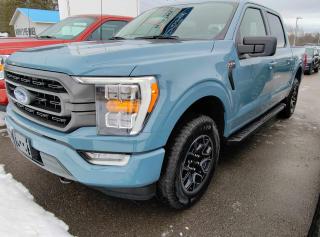 New 2023 Ford F-150 XLT for sale in Pembroke, ON