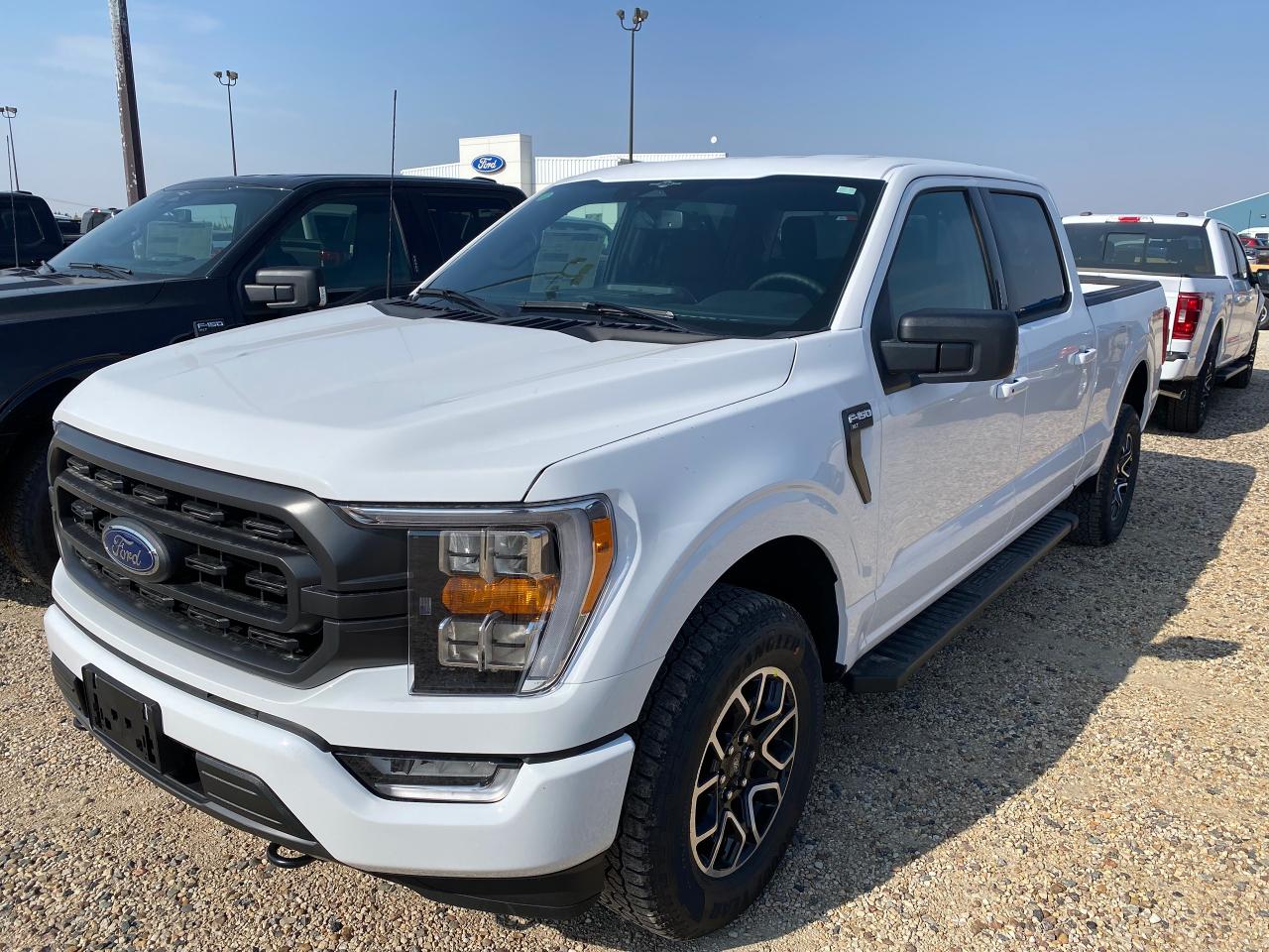 New 2023 Ford F-150 XLT 4WD SUPERCREW 6.5' BOX for sale in Elie, MB