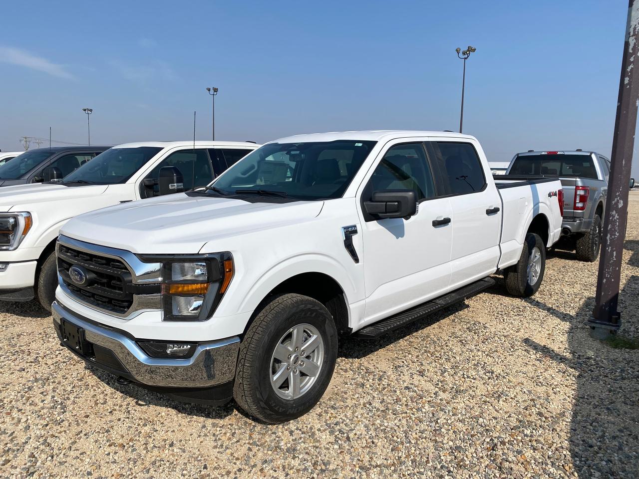 New 2023 Ford F-150 XLT 4WD SUPERCREW 6.5' BOX for sale in Elie, MB