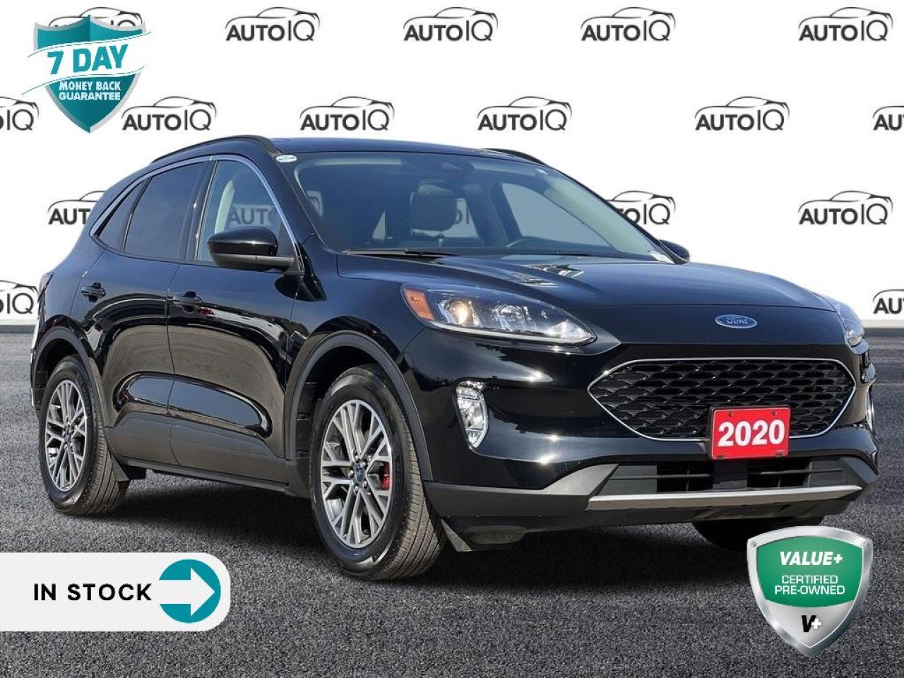 Used 2020 Ford Escape SEL LEATHER | TWIN PANEL MOONROOF | ADAPTIVE CRUISE | NAVIGATION for sale in Kitchener, ON