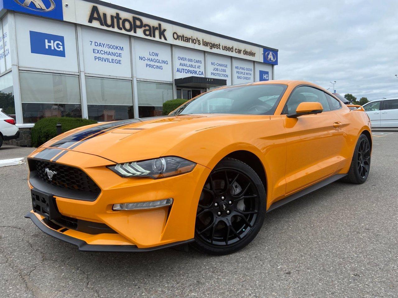 Used 2019 Ford Mustang EcoBoost Premium Fastback for sale in Brampton, ON