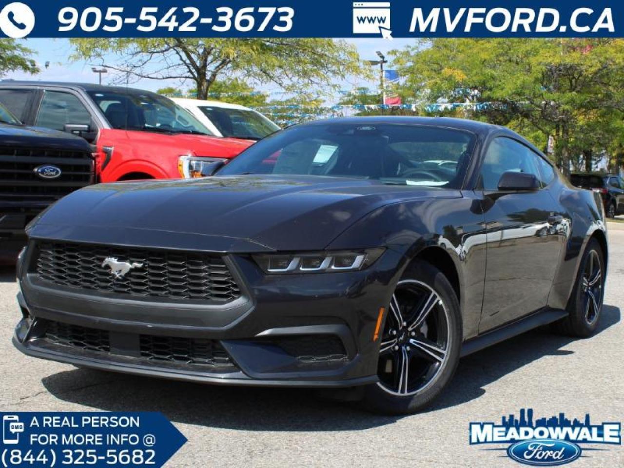 New 2024 Ford Mustang EcoBoost Fastback for sale in Mississauga, ON