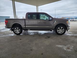 2023 Ford F-150 XLT | 145" | 302A Photo