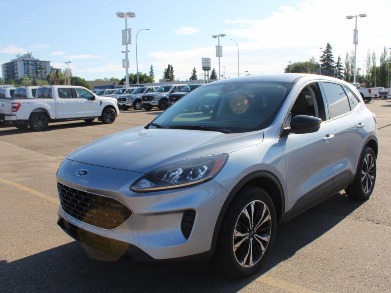 Used 2022 Ford Escape  for sale in Edmonton, AB