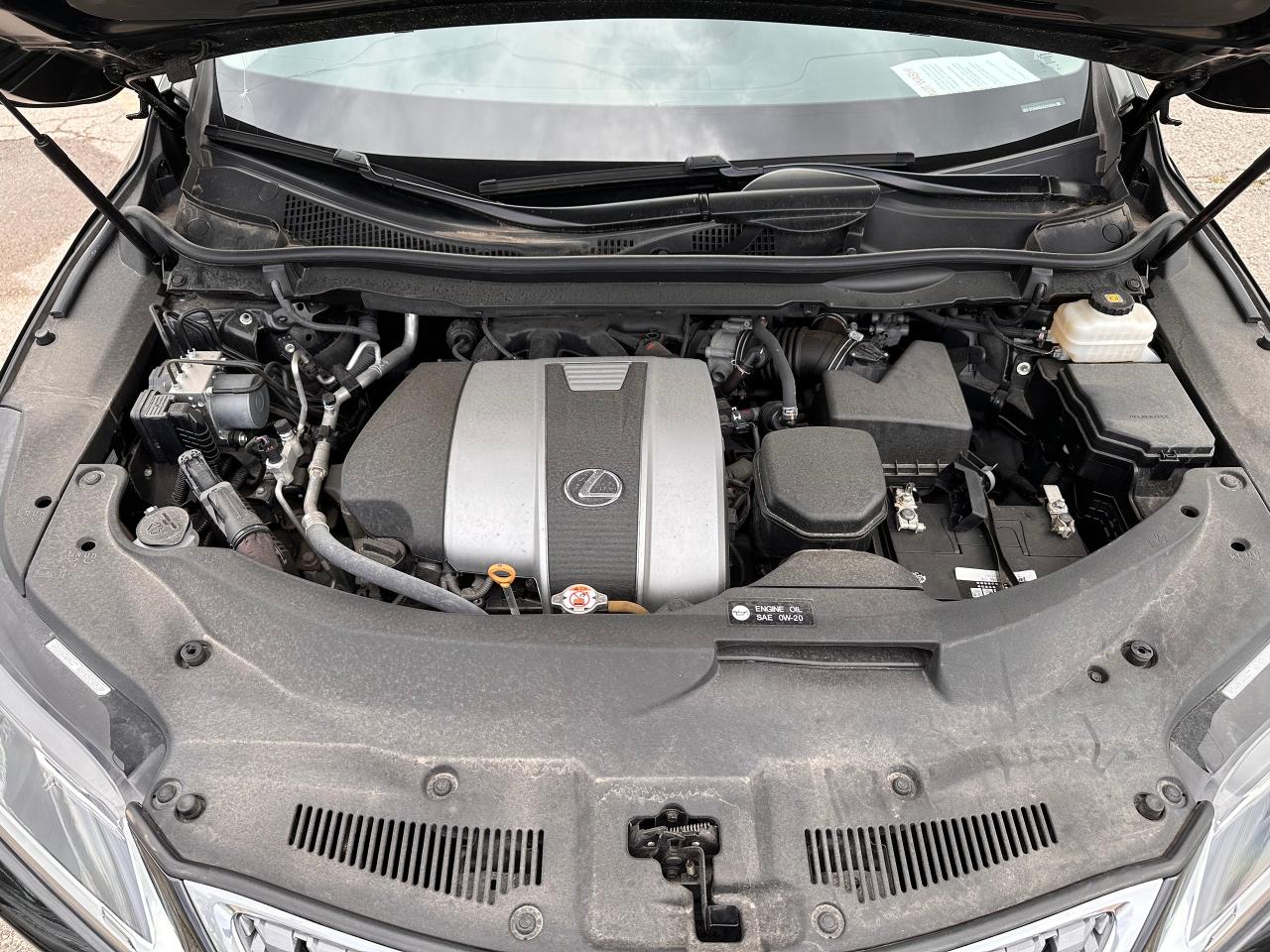 2020 Lexus RX  - Photo #28