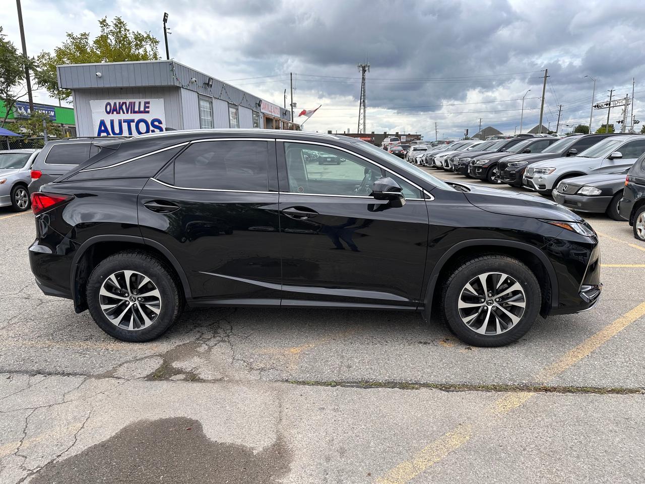 2020 Lexus RX  - Photo #10