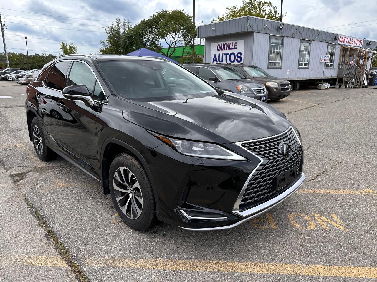 2020 Lexus RX  - Photo #9
