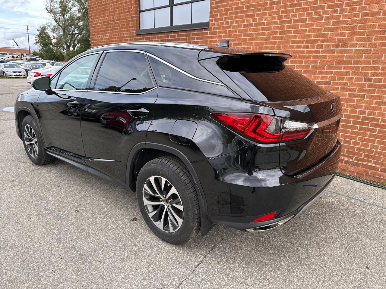 2020 Lexus RX  - Photo #6