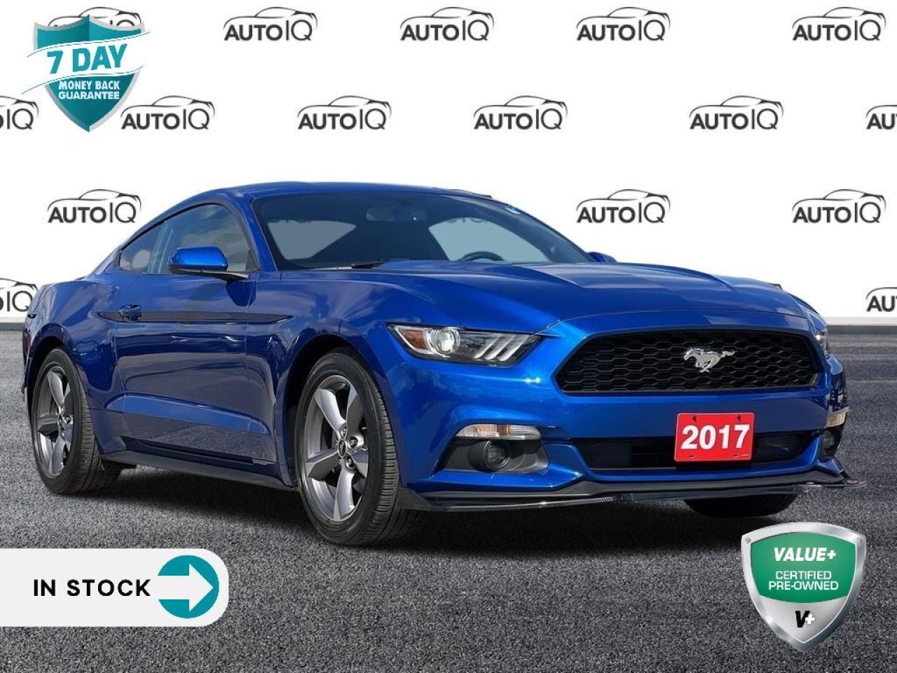 Used 2017 Ford Mustang V6 LOW MILEAGE | AUTOMATIC | BACKUP CAMERA for sale in Kitchener, ON