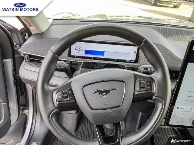 2021 Ford Mustang Mach-E Premium AWD Photo16