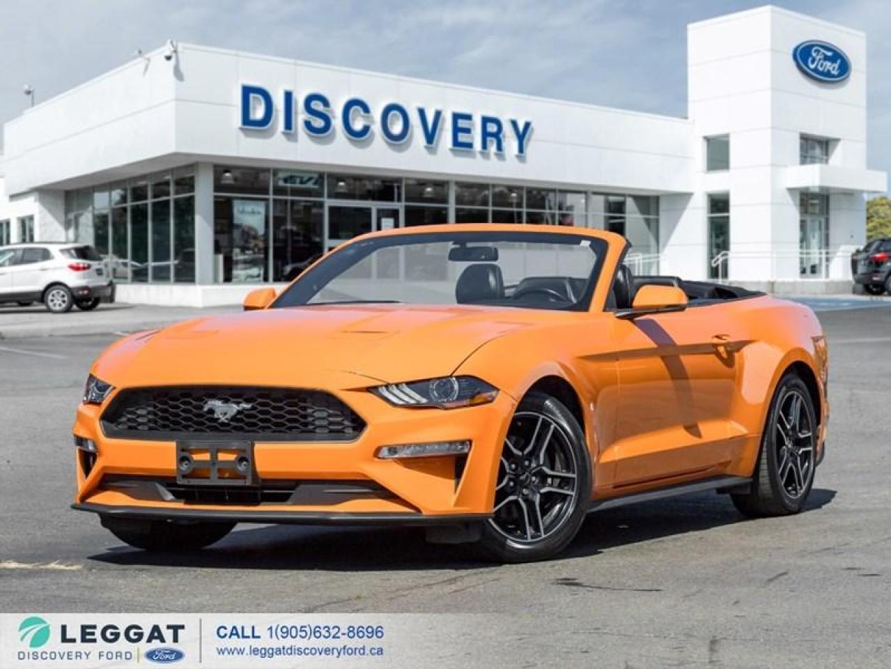 Used 2020 Ford Mustang EcoBoost Premium Convertible for sale in Burlington, ON