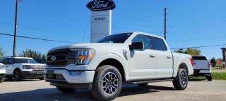 New 2023 Ford F-150 XLT for sale in Huntsville, ON