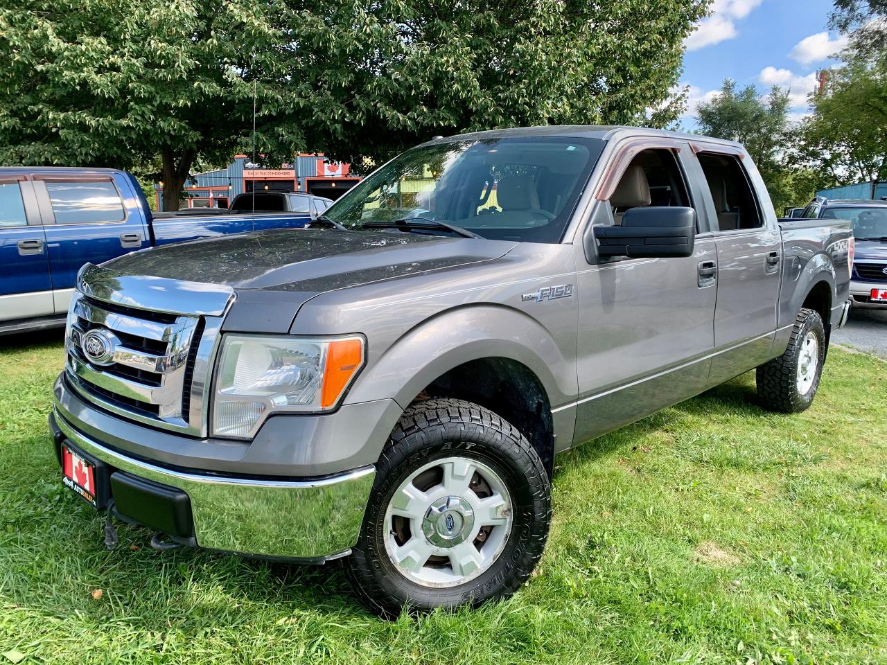 Used 2010 Ford F-150 XLT for sale in Guelph, ON