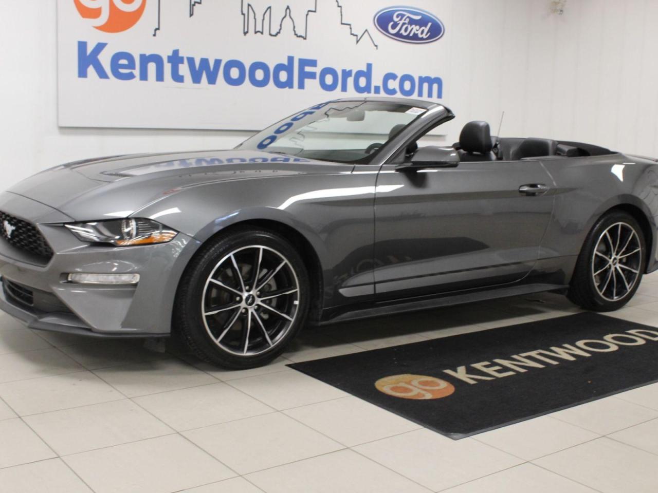 Used 2022 Ford Mustang  for sale in Edmonton, AB