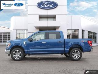 2023 Ford F-150 XLT Photo