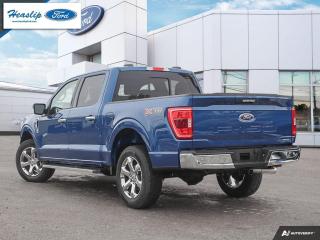 2023 Ford F-150 XLT Photo