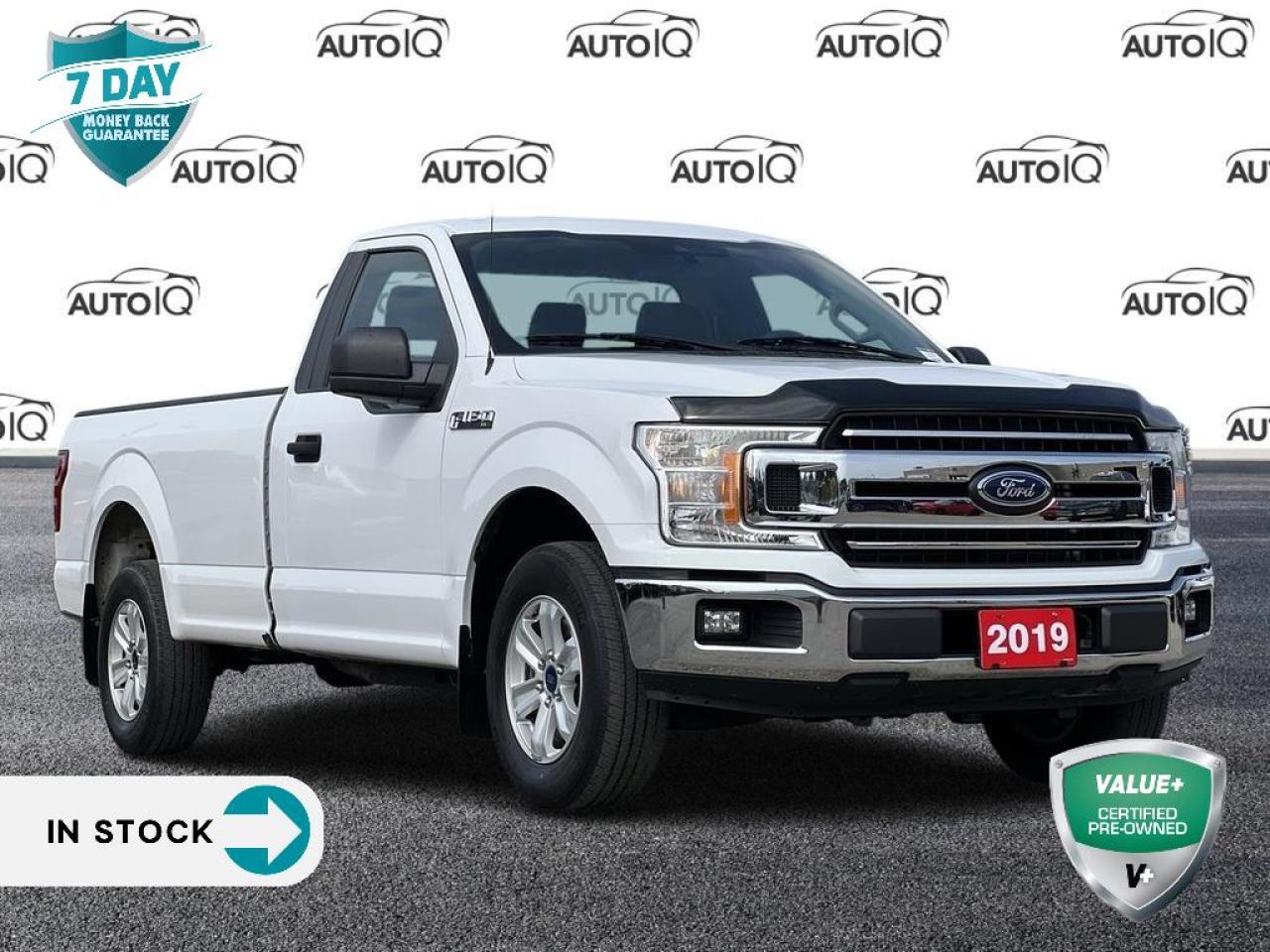 Used 2019 Ford F-150 XL CHROME APPEARANCE PACKAGE | POWER EQUIPMENT PACKAGE | CRUISE CONTROL for sale in Kitchener, ON