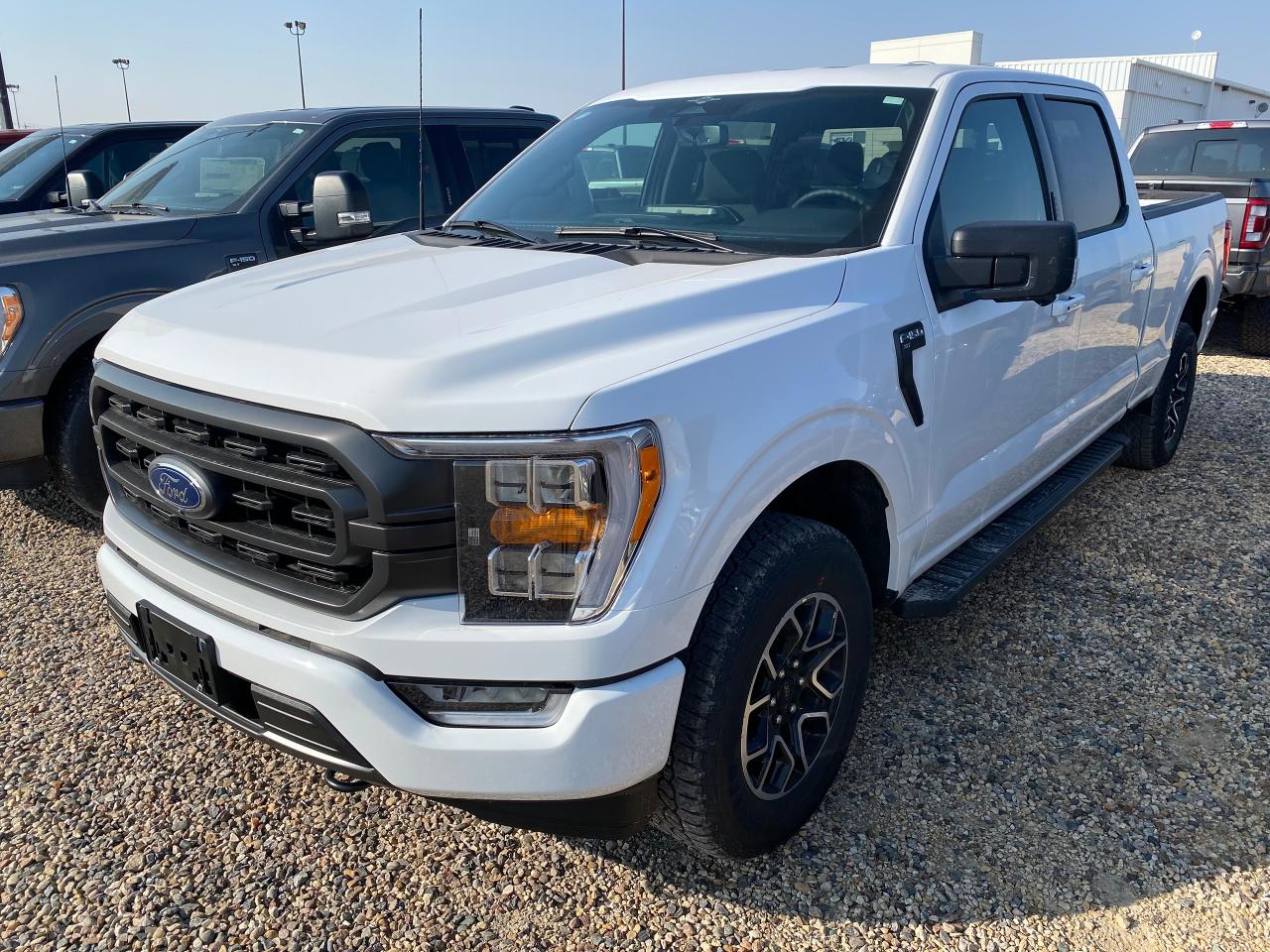 New 2023 Ford F-150 XLT 4WD SUPERCREW 6.5' BOX for sale in Elie, MB