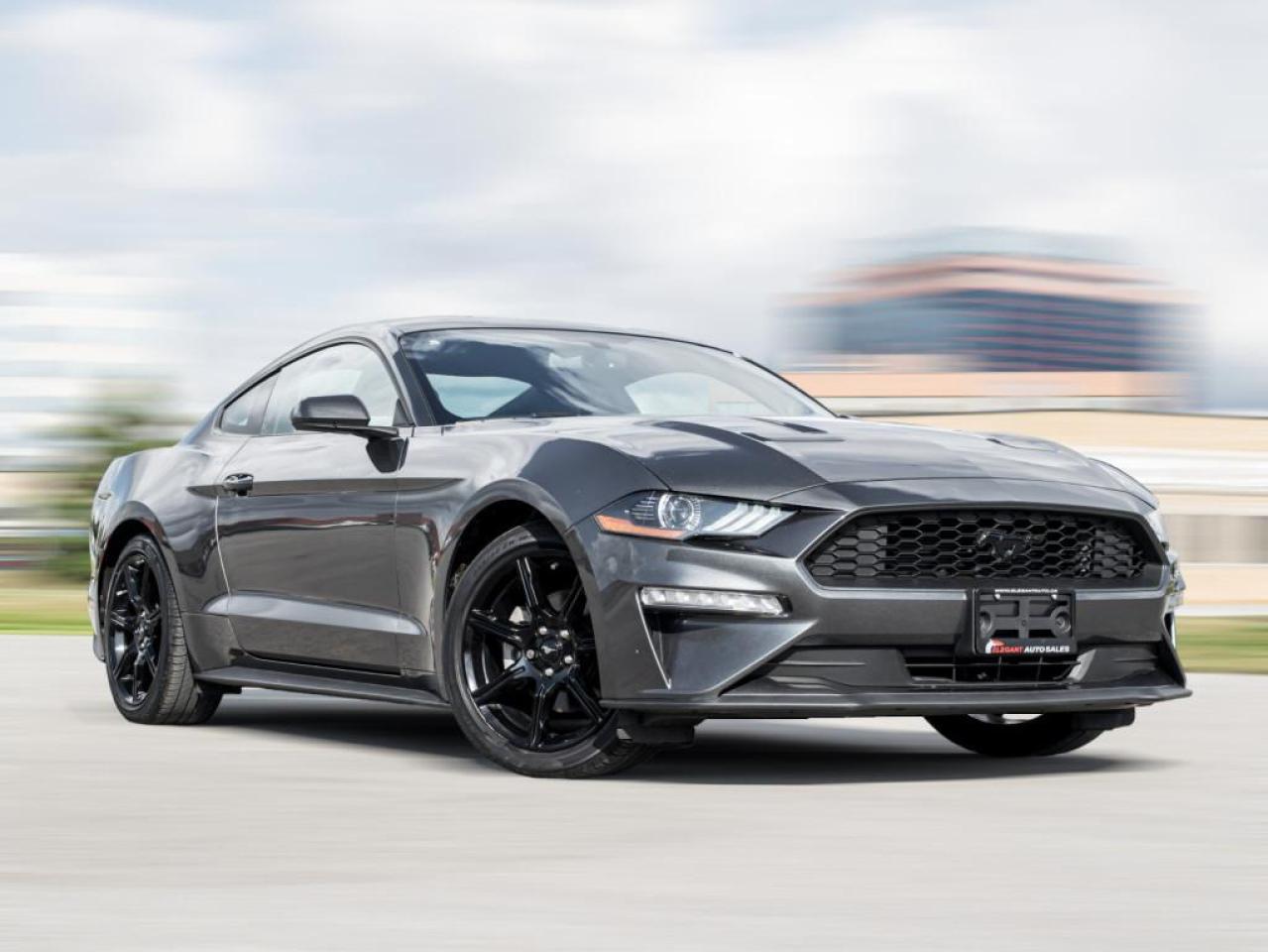Used 2020 Ford Mustang ECOBOOST FASTBACK|NAV|BACK UP|APPLE CARPLAY|LOW KM|PRICE TO for sale in North York, ON