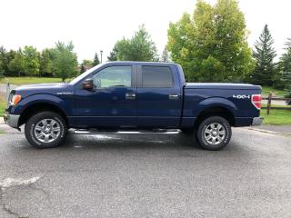 Used 2009 Ford F-150 XLT for sale in Ottawa, ON