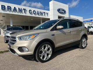 Used 2017 Ford Escape FWD 4DR TITANIUM for sale in Brantford, ON