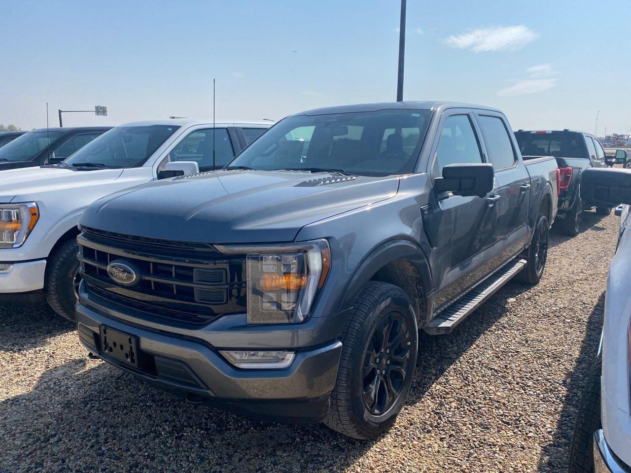 New 2023 Ford F-150 XLT 4WD SUPERCREW 5.5' BOX for sale in Elie, MB