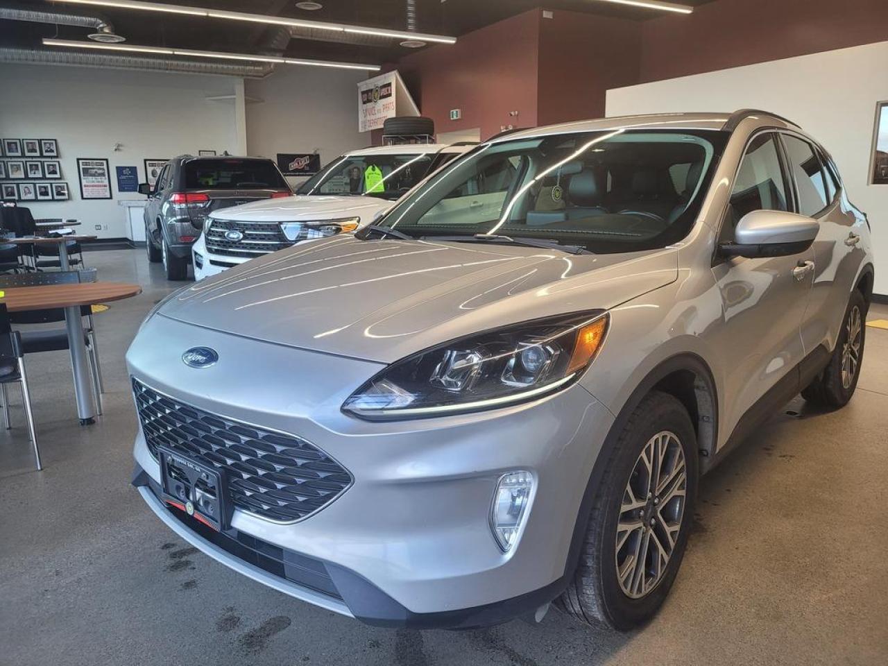 Used 2020 Ford Escape SEL AWD for sale in Thunder Bay, ON