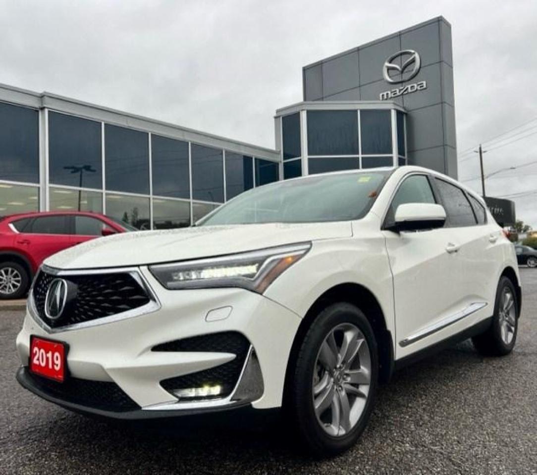 Used 2019 Acura RDX Platinum Elite AWD for sale in Ottawa, ON