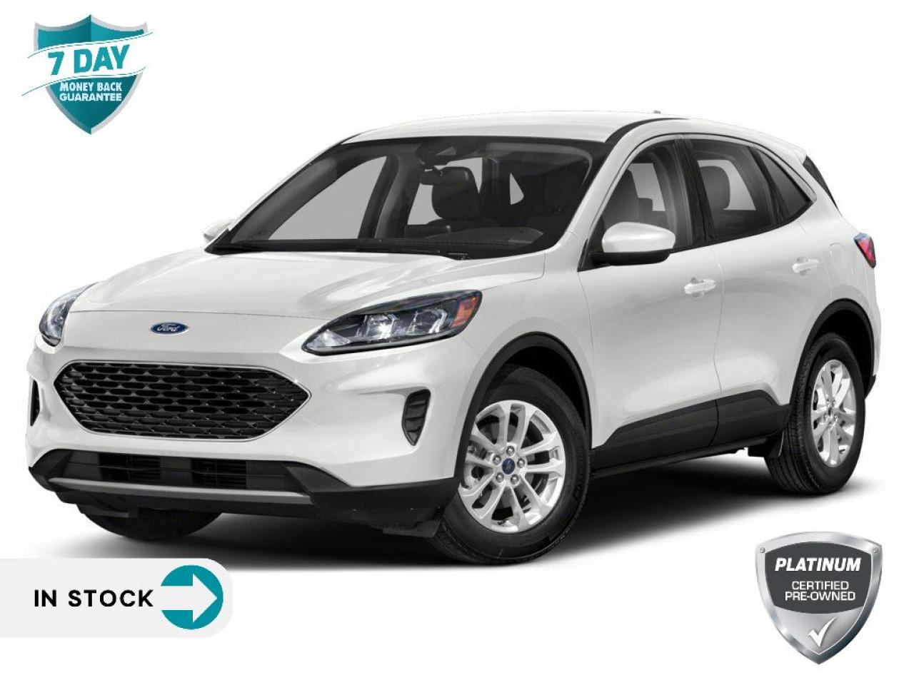 Used 2020 Ford Escape SE Se | 4wd Reserve Camera | Low Kms!! for sale in Oakville, ON