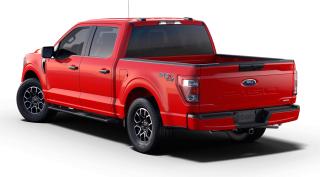 2023 Ford F-150 XL Photo