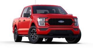 2023 Ford F-150 XL Photo