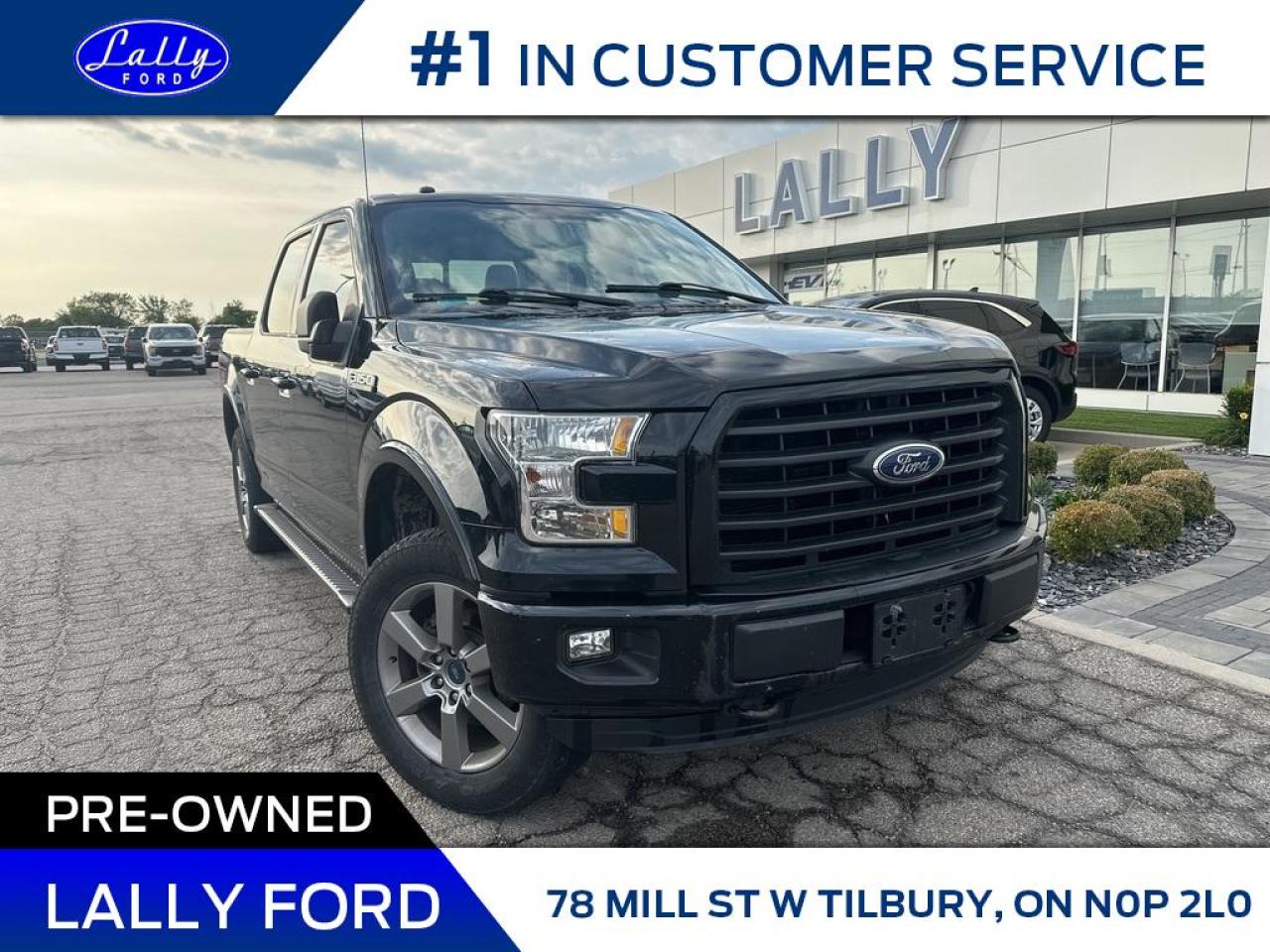Used 2016 Ford F-150 XLT, Sport, Nav, Low Km’s!! for sale in Tilbury, ON