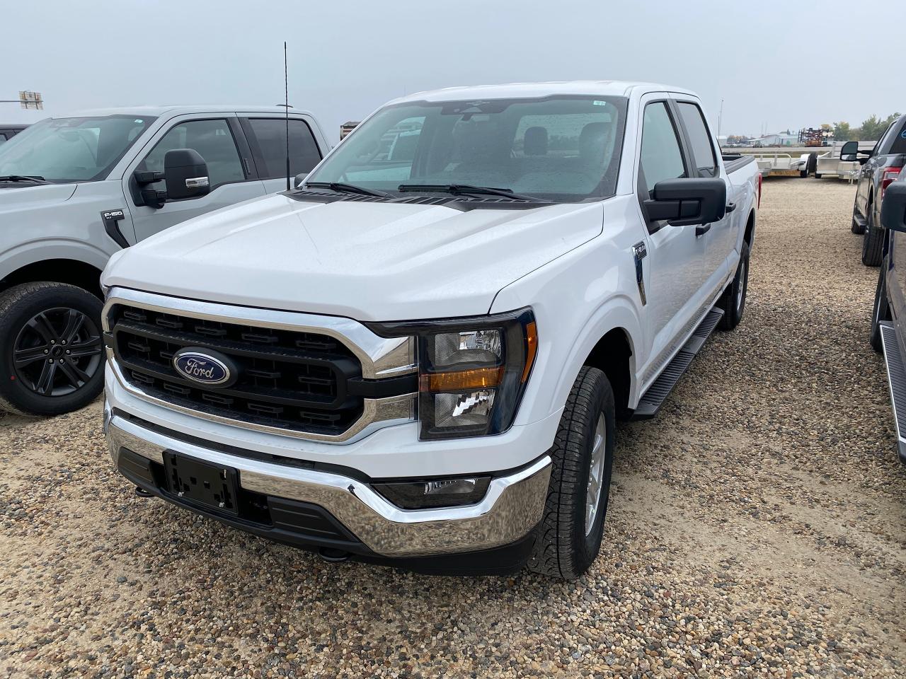 New 2023 Ford F-150 XLT 4WD SUPERCREW 6.5' BOX for sale in Elie, MB