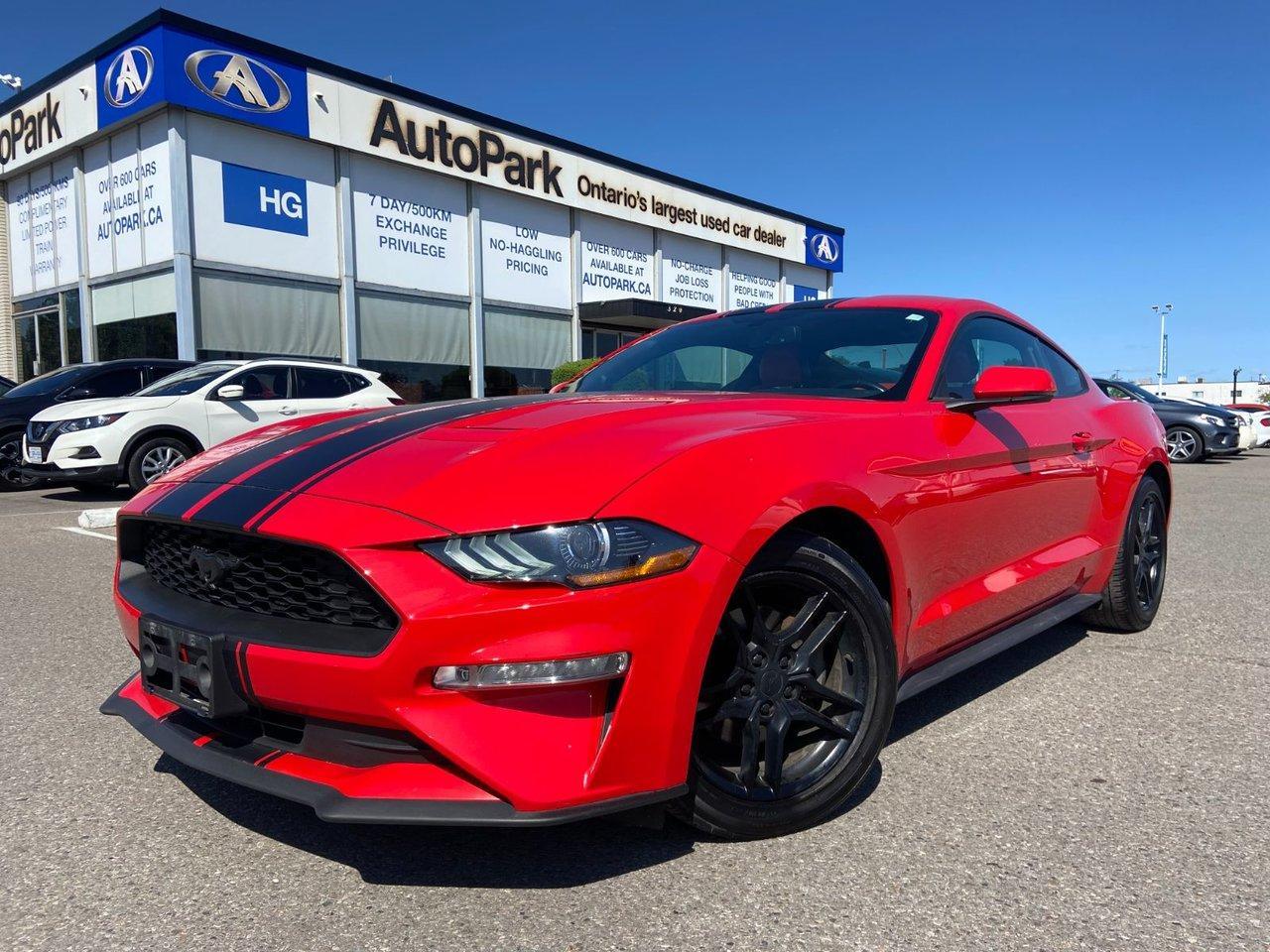 Used 2019 Ford Mustang EcoBoost Premium for sale in Brampton, ON