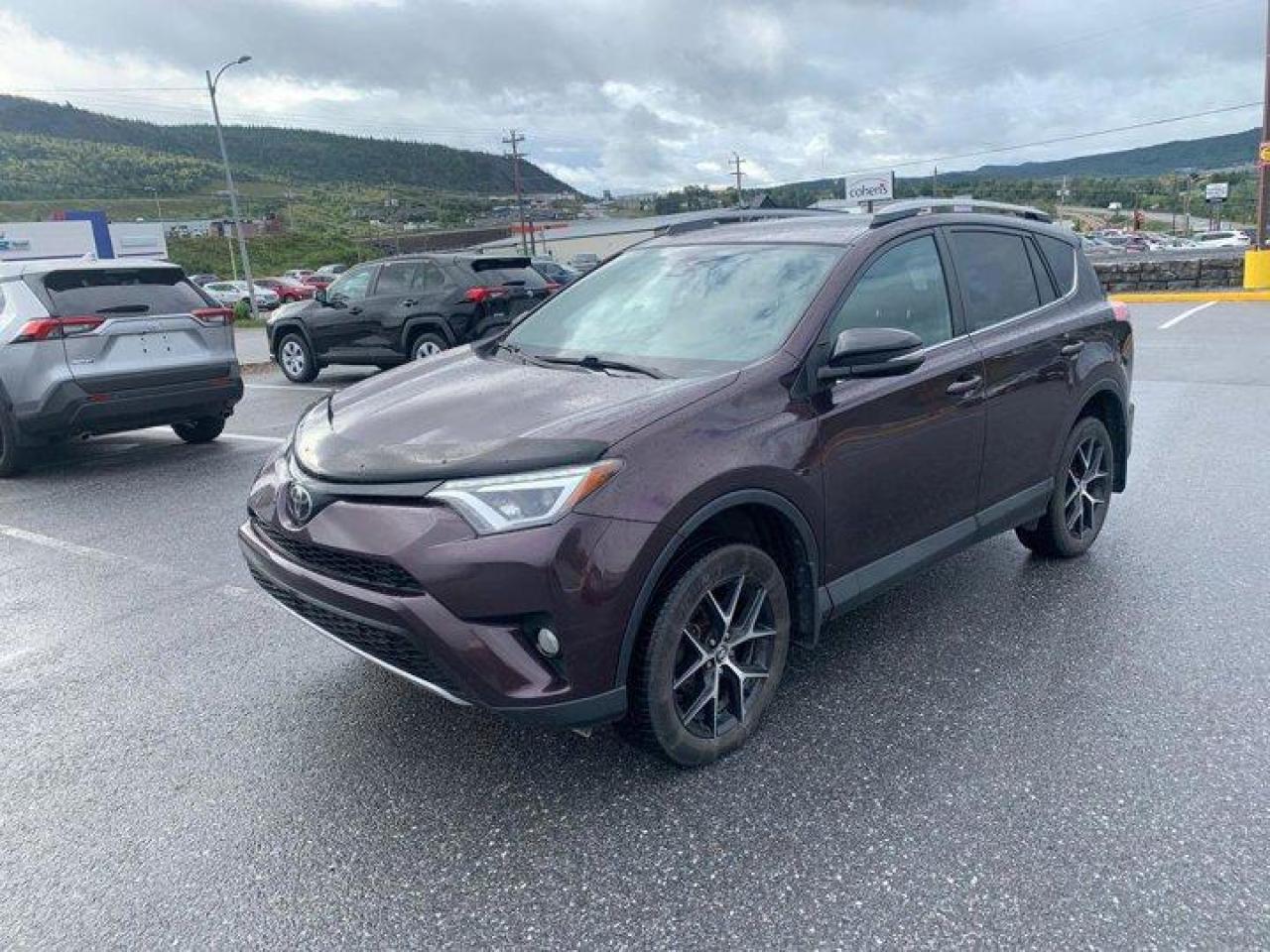 Used 2017 Toyota RAV4 SE AWD - Navigation, Leather, Sunroof, Heated Seats, Blindspot Monitor, Rear Camera & Much More! for sale in Guelph, ON