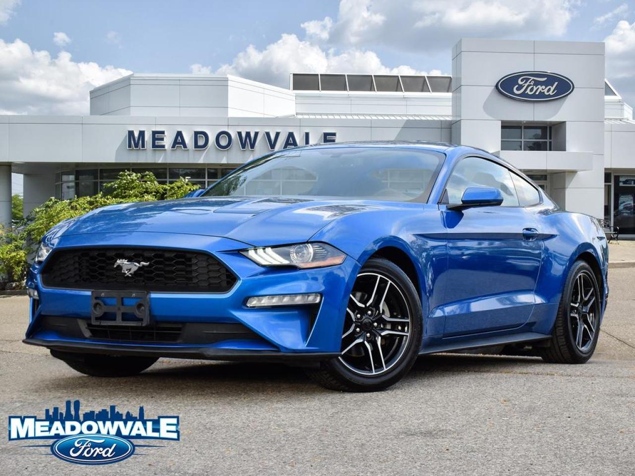 Used 2020 Ford Mustang EcoBoost for sale in Mississauga, ON