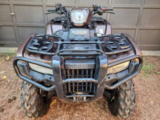 2021 Honda FourTrax Foreman Rubicon Deluxe Financing Available & Trade-ins Welcome! - Photo #2