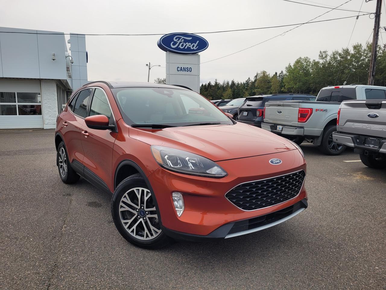 2020 Ford Escape SEL AWD W/PANO SUNROOF Photo0