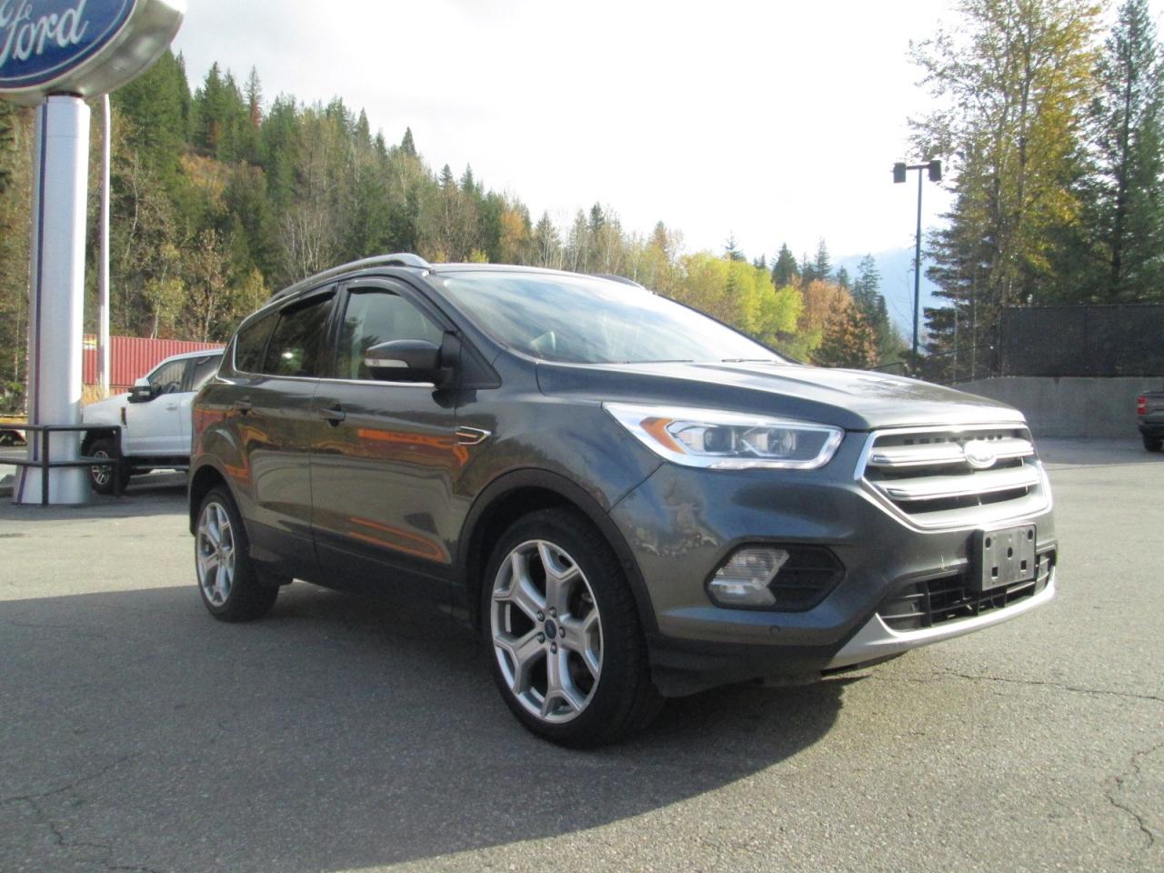 2017 Ford Escape Titanium Photo0