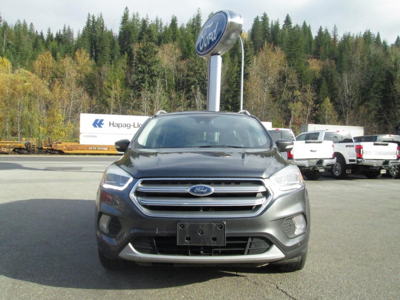 2017 Ford Escape Titanium Photo1