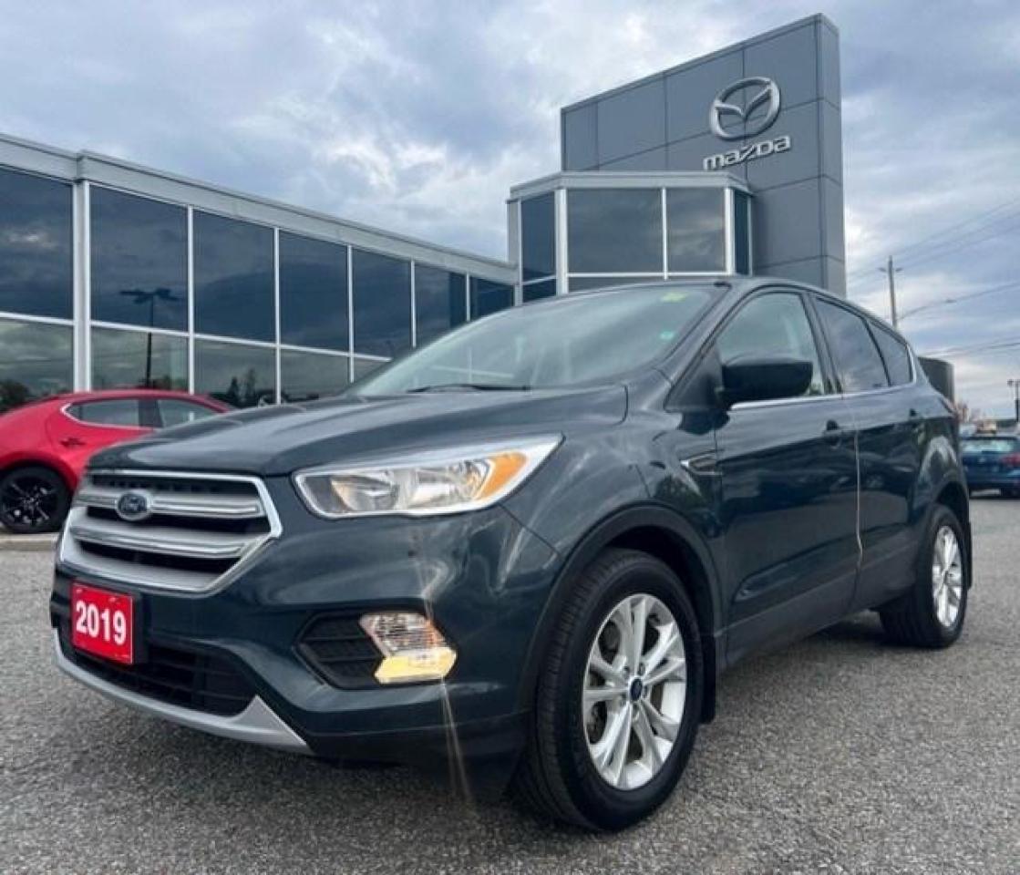 Used 2019 Ford Escape SE FWD for sale in Ottawa, ON