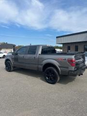 2013 Ford F-150 XLT Sport Special Edition - Photo #2