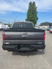 2013 Ford F-150 XLT Sport Special Edition - Photo #3