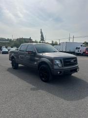 2013 Ford F-150 XLT Sport Special Edition - Photo #5