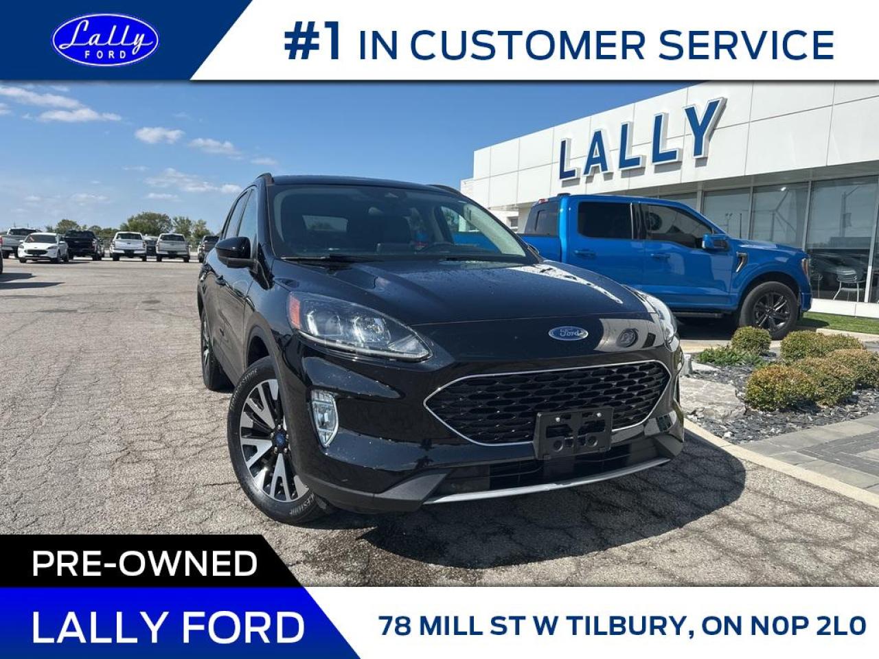 Used 2020 Ford Escape SEL, AWD, Moonroof, Nav, 2.0!! for sale in Tilbury, ON