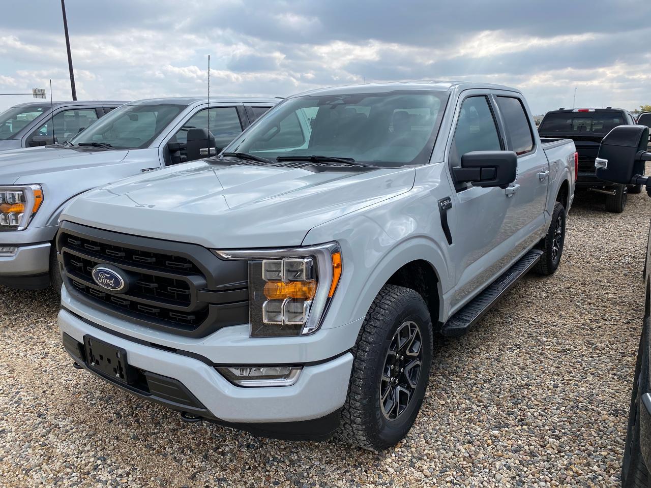 New 2023 Ford F-150 XLT 4WD SUPERCREW 5.5' BOX for sale in Elie, MB